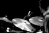 Joe Lovano (19)